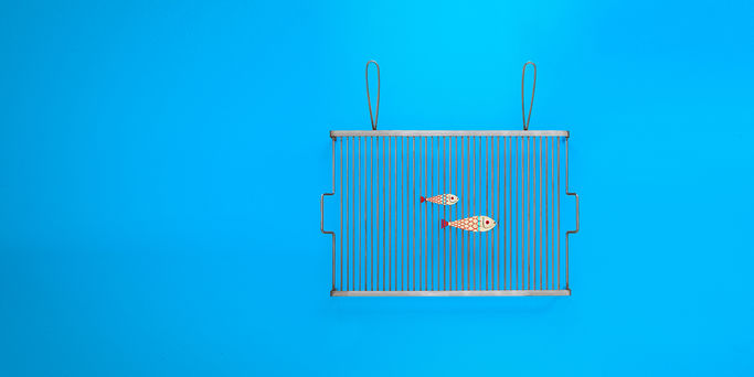 Griglie e BBQ_HEADER_GEO_2