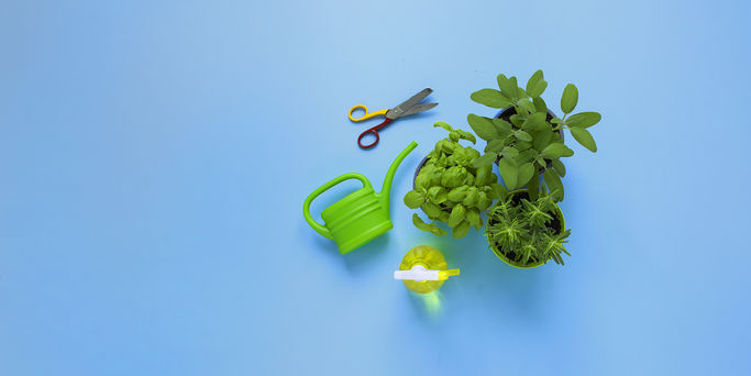 Orto in terrazza_HEADER_GEO_2