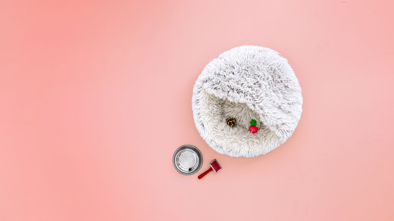 Cuccia del Cane_HEADER_GEO