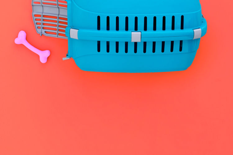 Lettiere gabbie e trasportini_TEASER_GEO