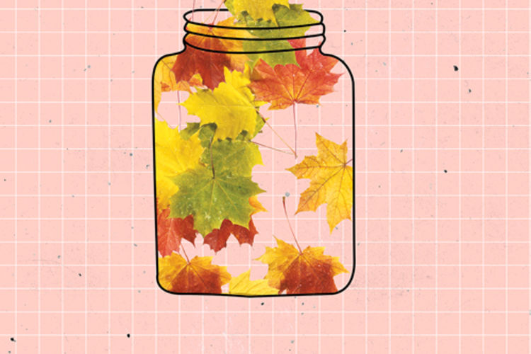 autunno_speciali_TEASER_GEO