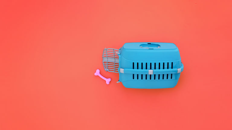 Lettiere gabbie e trasportini_HEADER_GEO