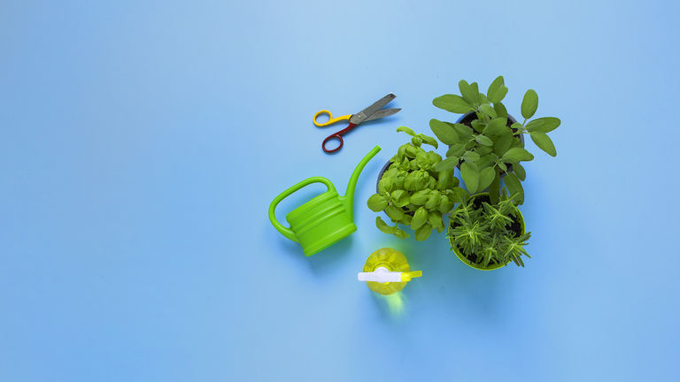 Orto in terrazza_HEADER_GEO_2